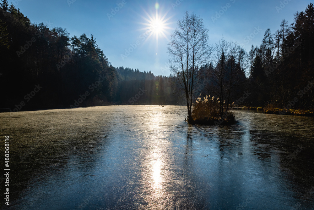 Obraz premium Cold winter morning in the park