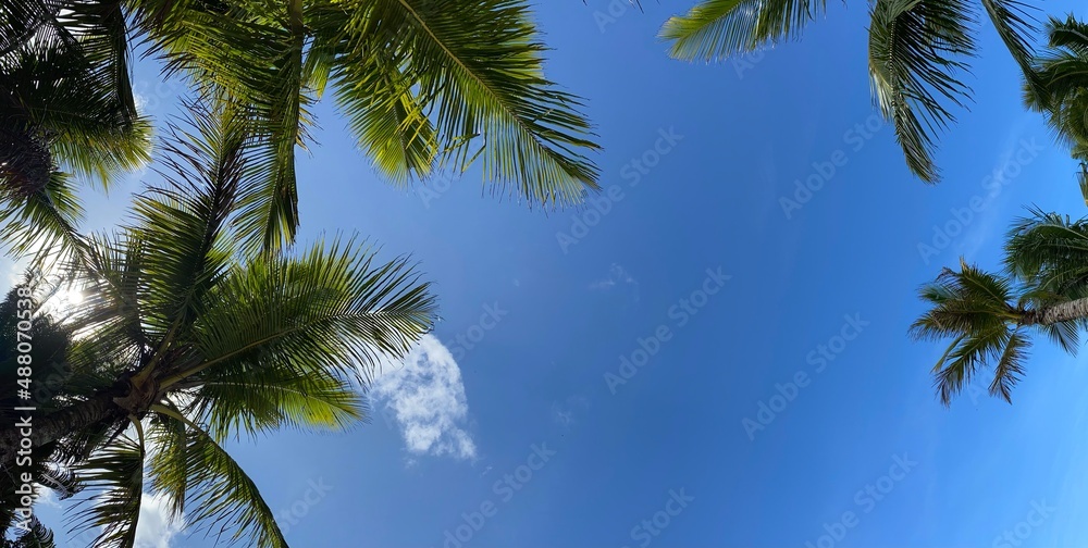 Fototapeta premium Beaches in Brazil