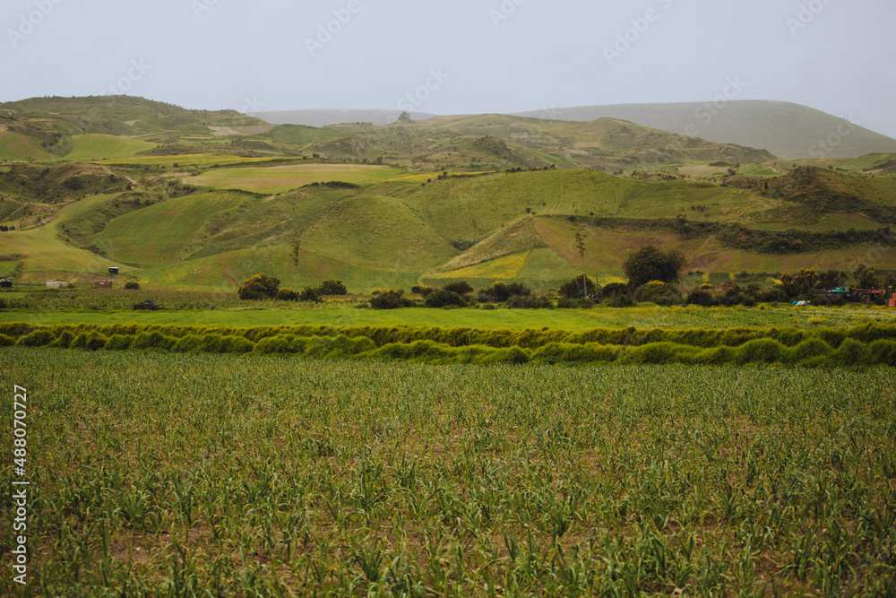 Obraz premium Paisaje de un valle con huertas y montañas alrededor