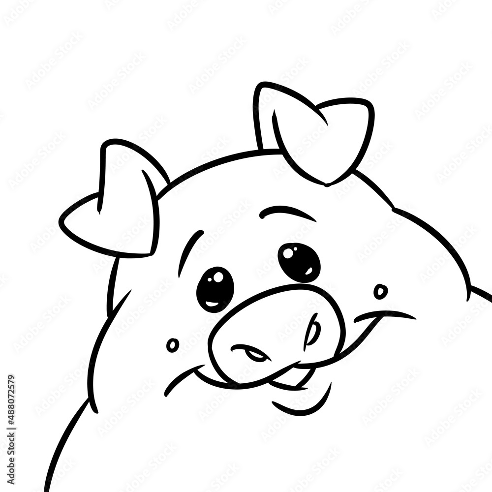 Portrait pig animal character smile illustration cartoon Portrait pig animal character smile illustration cartoon