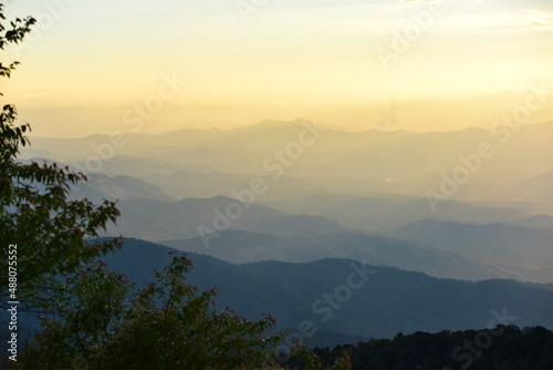 tropical forest landscape scene for using in concept of environmental ecology and sustainable energy or Earth day