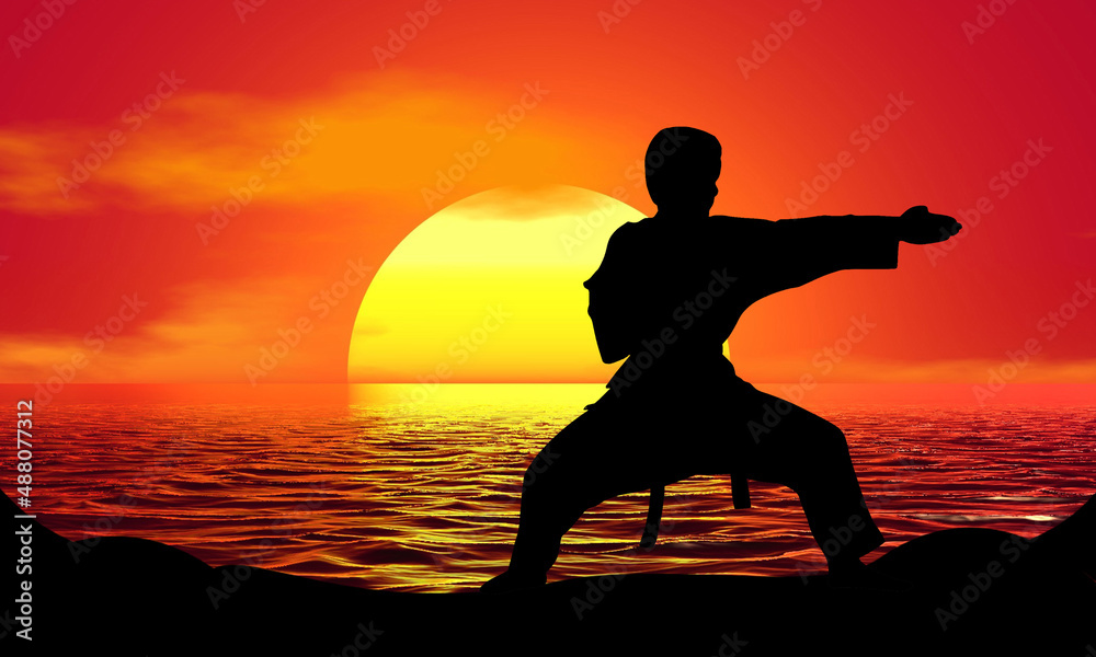 Karate Martial Arts sports Silhouette Sunset Beach Sunrise landscape illustration