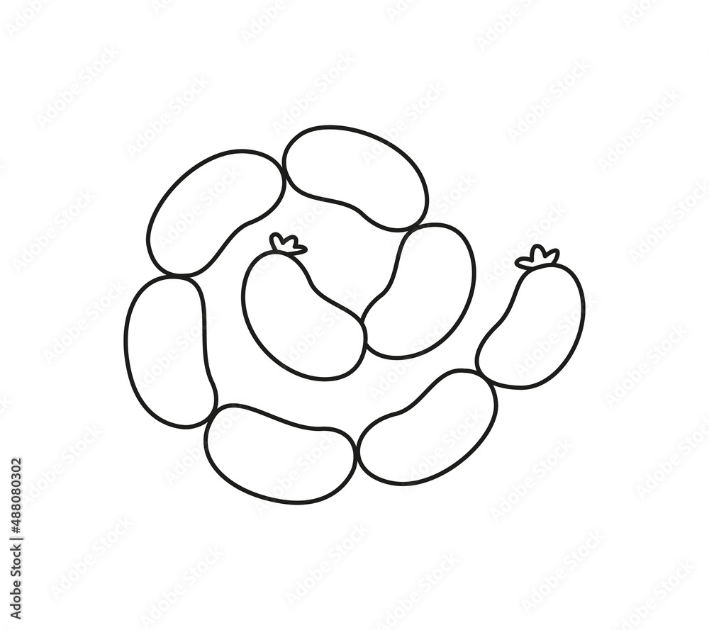 Bunch of sausages or pork sausages, black line. Vector illustration of meat food in cartoon childish style. Isolated funny clipart of soy sausages on white background. cute print. Bunch of sausages or pork sausages, black line. Vector illustration of meat food in cartoon childish style. Isolated funny clipart of soy sausages on white background. cute print.
