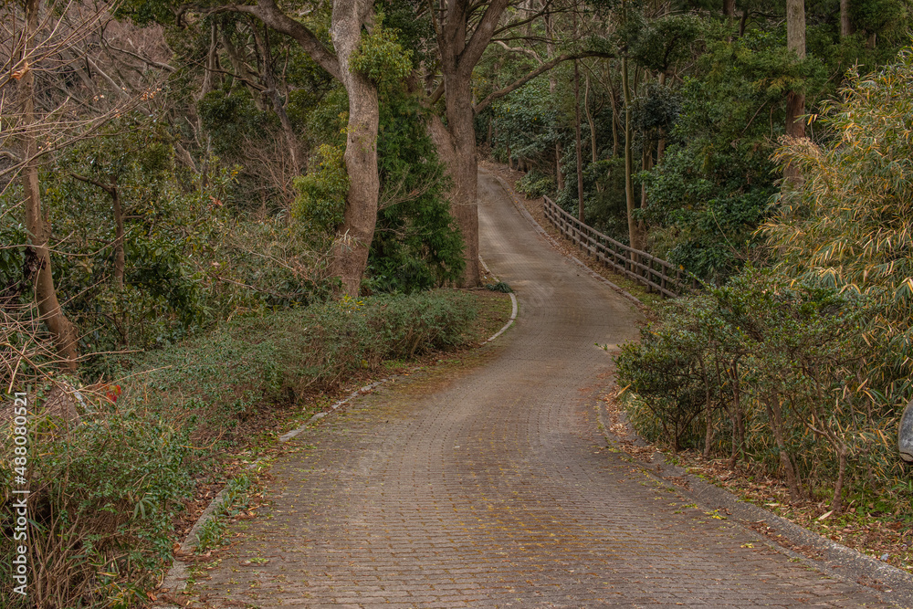 植物園の中の遊歩道、森林と石畳の歩道 植物園の中の遊歩道、森林と石畳の歩道