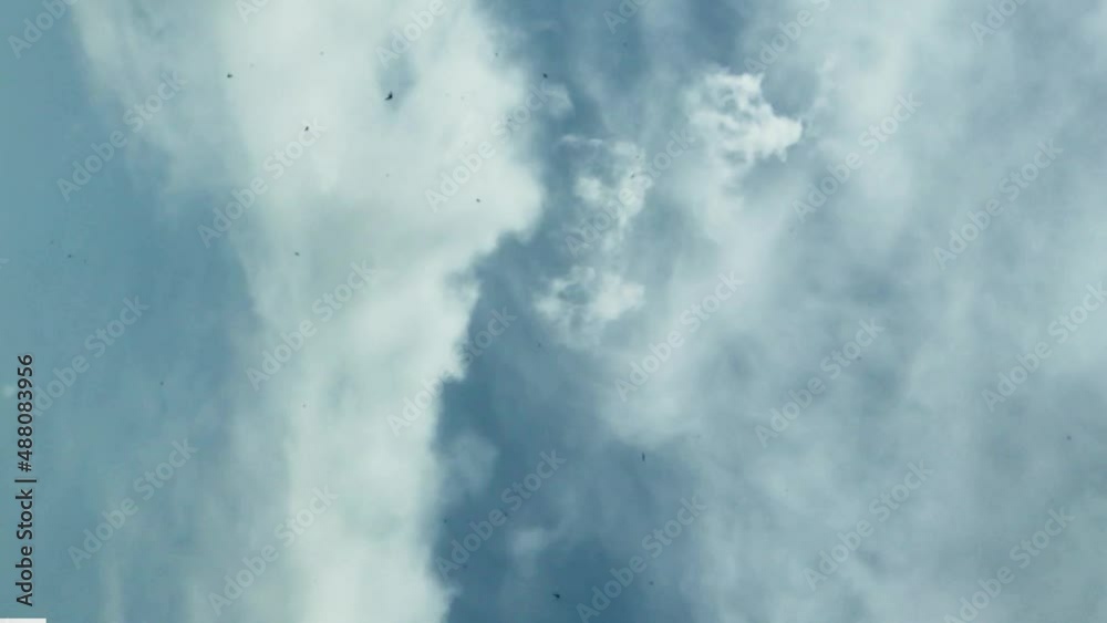 Clouds sky flying birds blue nature freedom Clouds sky flying birds blue nature freedom