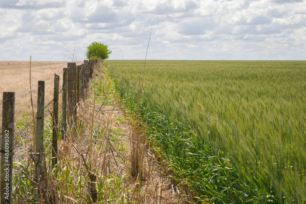 Obraz premium Internal peace