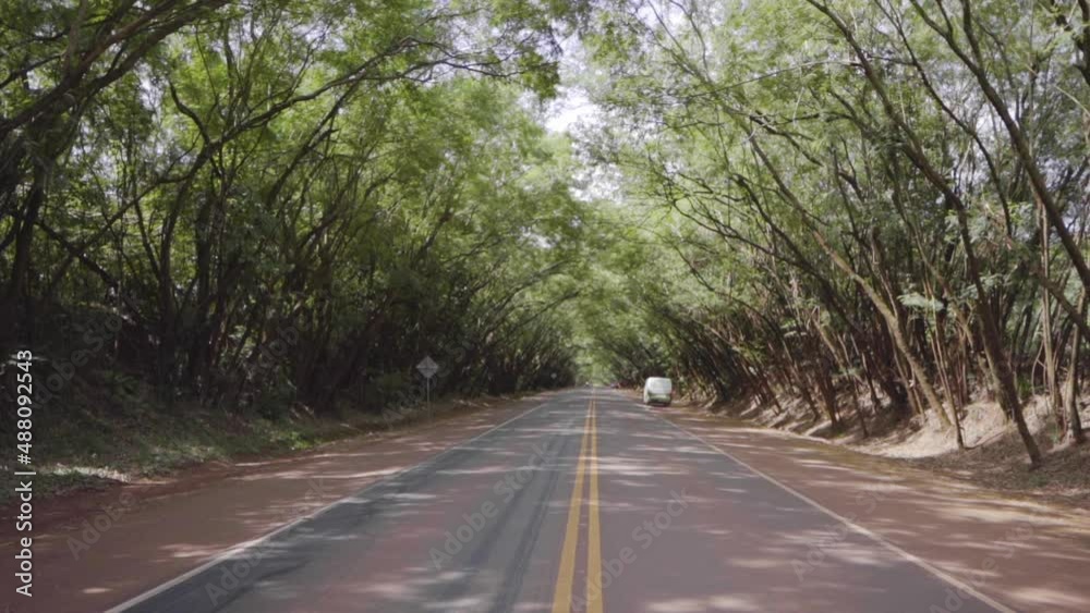 car traveling route with trees around car traveling route with trees around