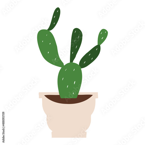 Indoor potted plant prickly pear cactus illustration