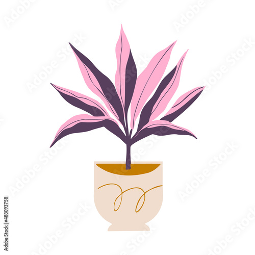 Indoor potted plant hawaiian ti illustration