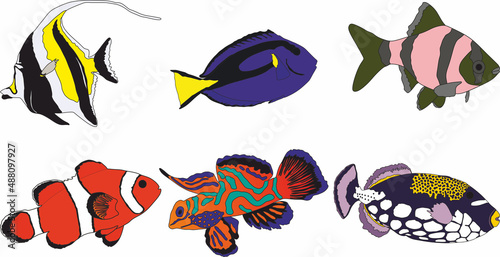 Vector set of beautiful colored fish. Marine inhabitants of the ocean. Water inhabitants.
