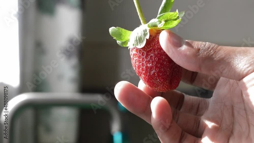 close up of a hand holding strawberry