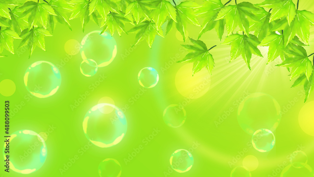 新緑_背景 新緑_背景