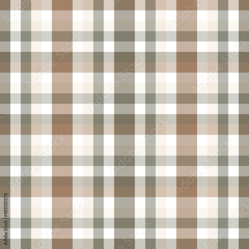Loincloth plaid pattern. Checkered cloth. Design for fabric, wallpaper, background, carpet, clothing. Vector illustration. color vintage style.