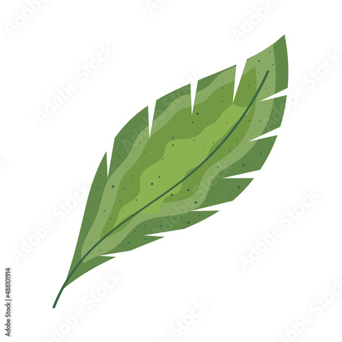 cute leaf green
