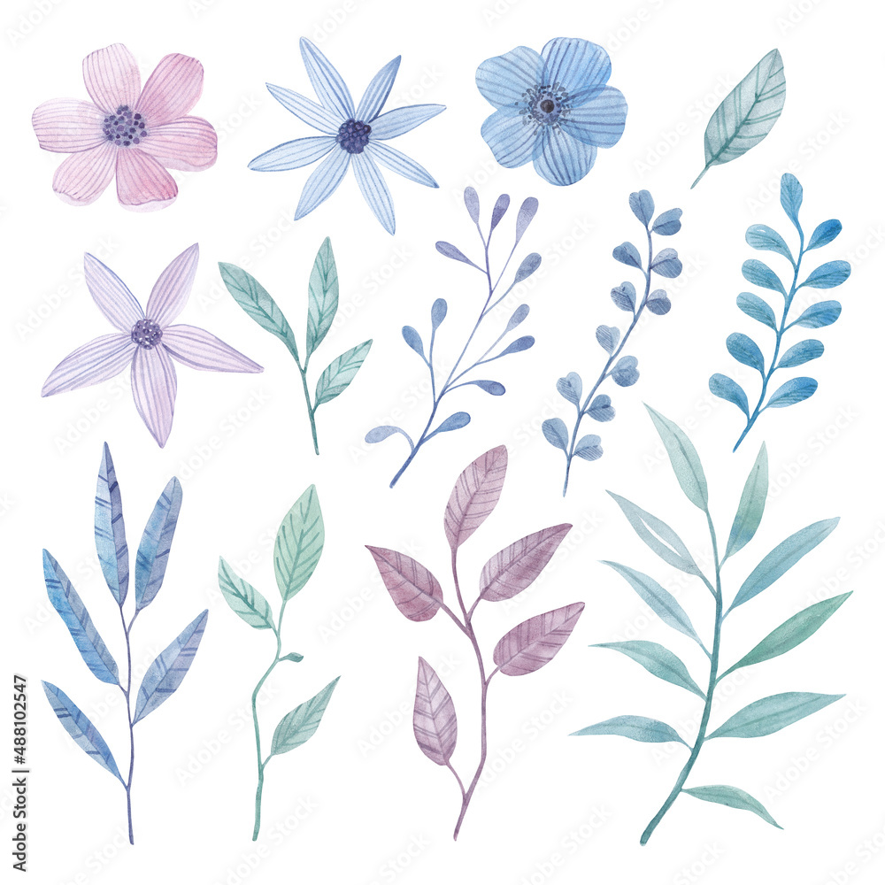Colorful floral watercolor collection with colorful flowers, leaves, branches. Set of floral elements.