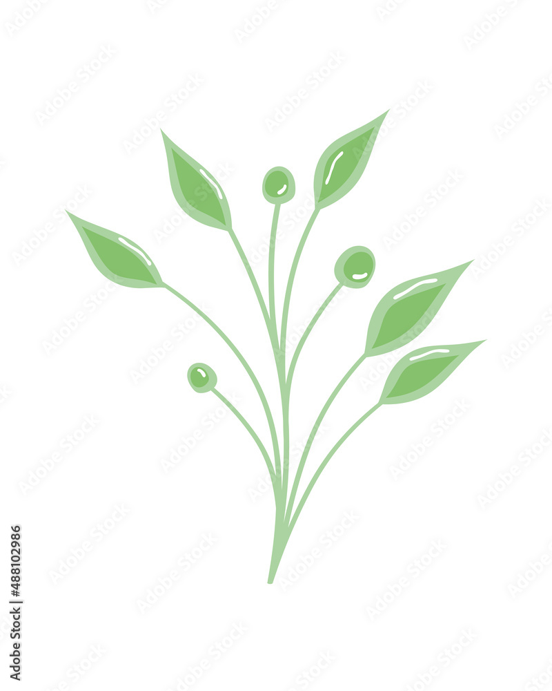 branch with leaves green branch with leaves green