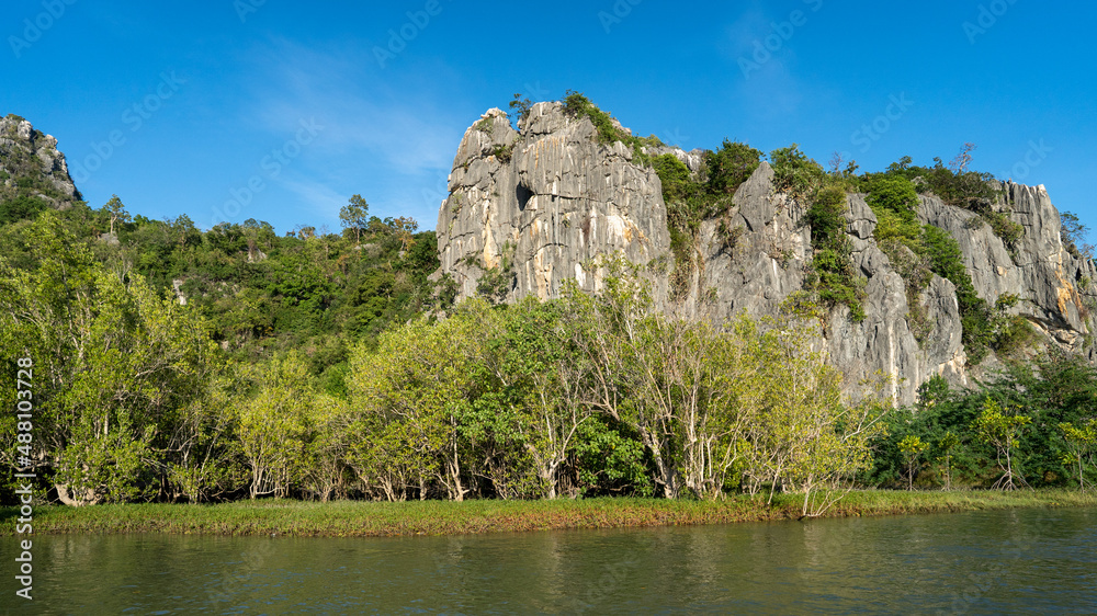 along with river side of mangrove forest with green moutain and clear blue sky