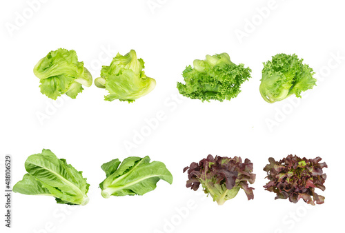 Group of various fresh organic salad vegetables on isolated white background