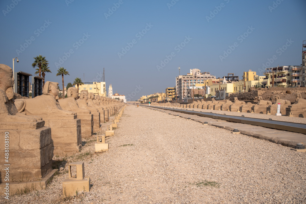 Avenue of Sphinxes next to Luxor Temple (Luxor, Egypt).