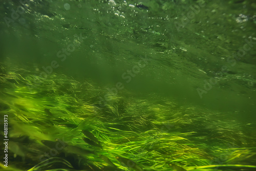 abstract underwater background in the lake, clean freshwater