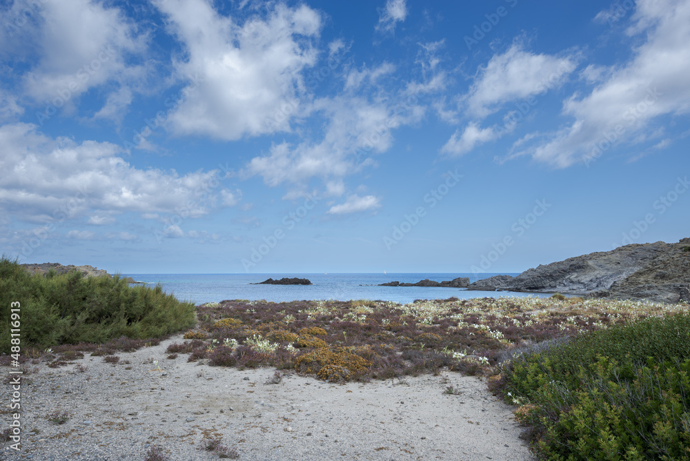 Psammophile plant communities in Cape of Favaritx, municipality of Mahon, Menorca, Spain