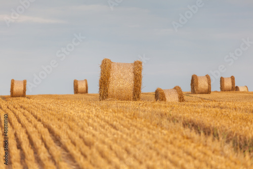 Fototapeta Naklejka Na Ścianę i Meble -  View of the Masurian fields.