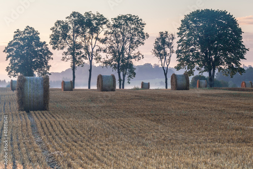 Fototapeta Naklejka Na Ścianę i Meble -  View of the Masurian fields.
