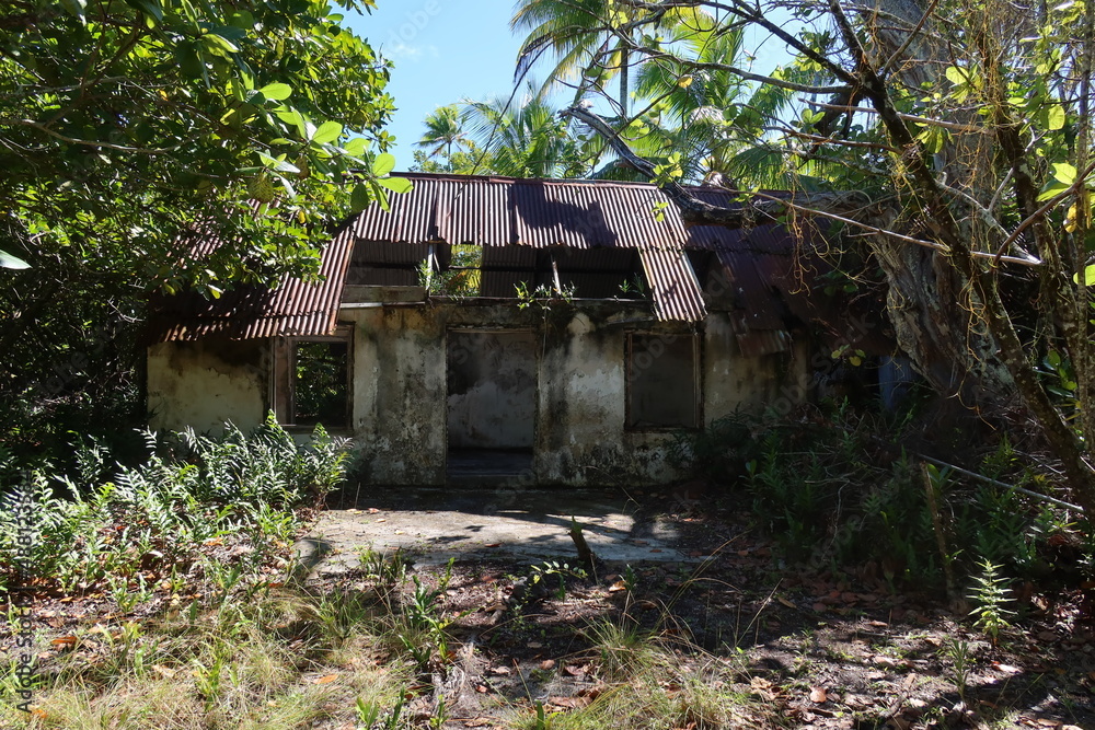 old house in the woods on a Tahitian beach from French Polynesia old house in the woods on a Tahitian beach from French Polynesia