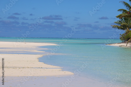 Fototapeta Naklejka Na Ścianę i Meble -  beach with palm trees in a Tahitian island 