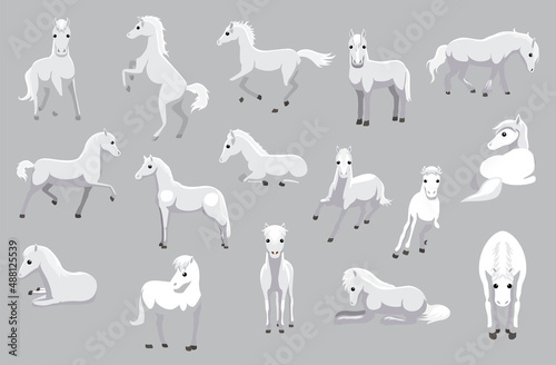 Fototapeta Naklejka Na Ścianę i Meble -  Cartoon White Horse Pegasus Cute Various Poses Cartoon Vector Illustration
