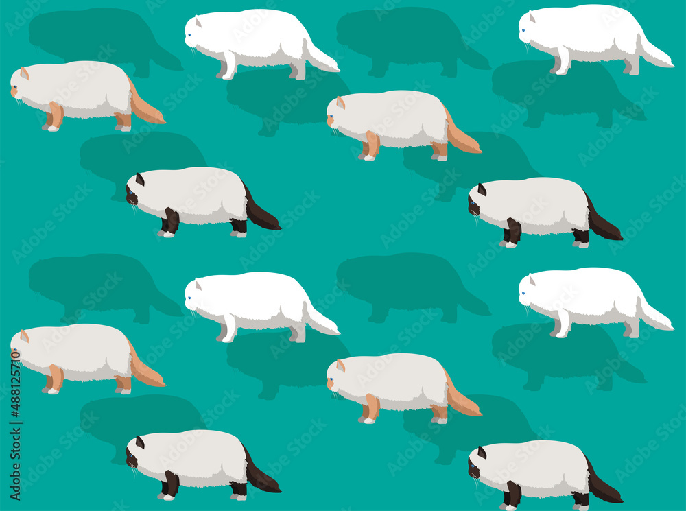 Fototapeta premium Cat Birman White Blue Black Seamless Wallpaper Background