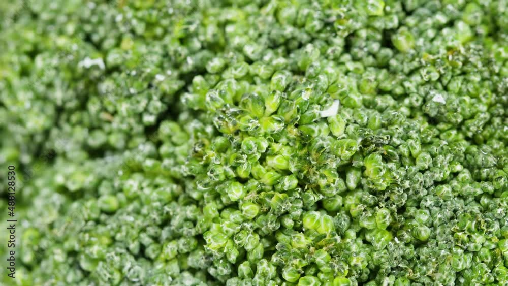 Broccoli top view rotating, fresh green broccoli close-up, vitamins, raw food and vegetarian lifestyle concept. Broccoli top view rotating, fresh green broccoli close-up, vitamins, raw food and vegetarian lifestyle concept.