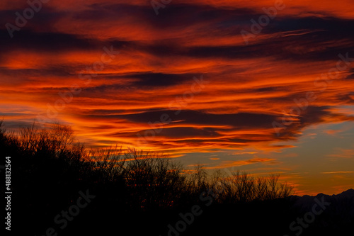 Sunset sky with clouds, colored red, in the foreground some trees without leaves, underexposed on purpose