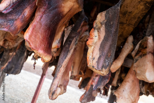 Hákarl - in einer Trockenhütte des Bjarnahöfn Shark Museum hängt das fermentierte Fleisch des Grönlandheis zum Abgasen und trocknen.
