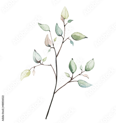 Watercolor floral pink and green twig. Vector traced isolated brunch illustration