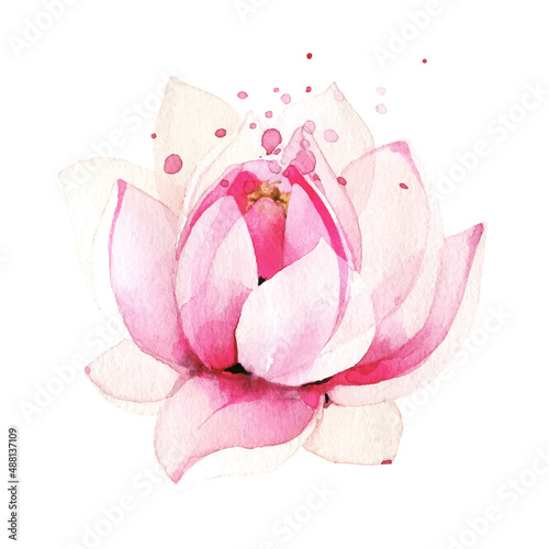  Watercolor painted light pink lotus flower. Vector traced floral isolated illustration.