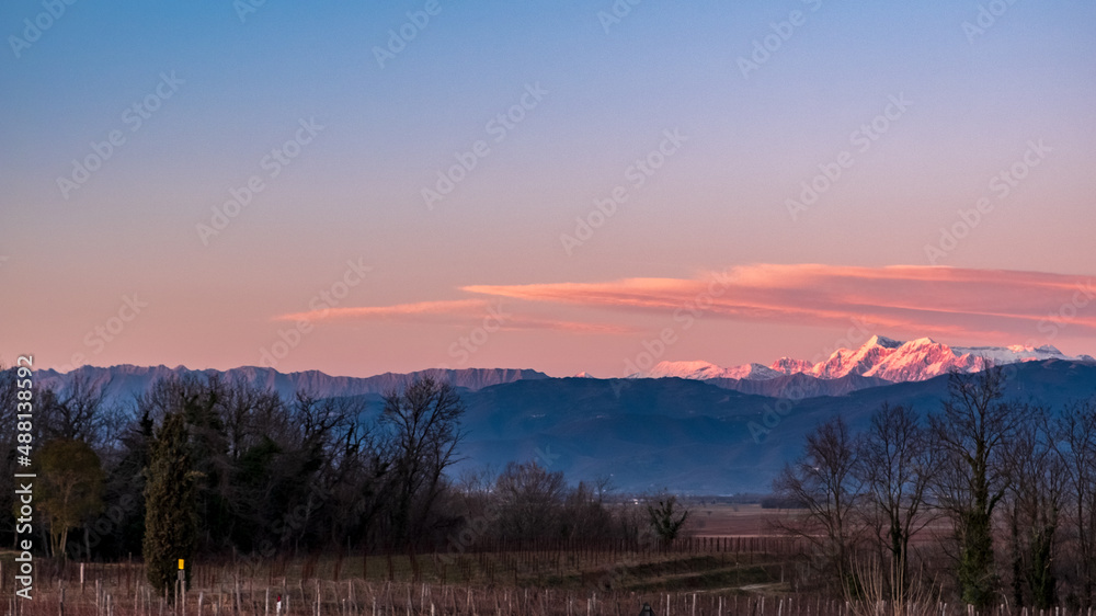 Winter sunset in the vineyards of Collio Friulano