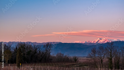 Winter sunset in the vineyards of Collio Friulano