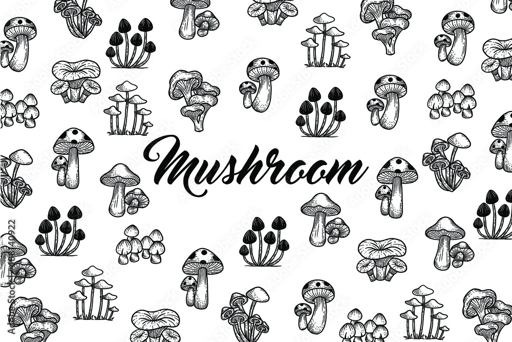 Set Mushroom healthy food engraved Hand Drawn Outline illustration
