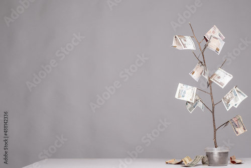money growing on a plant concept