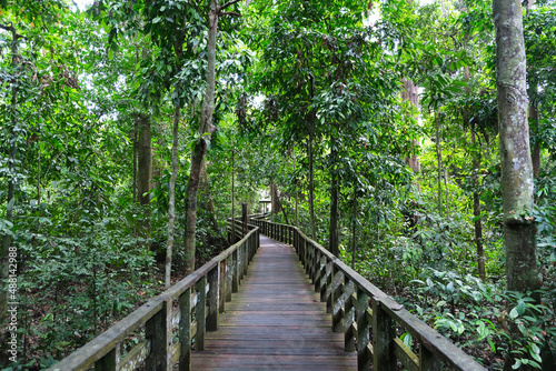 The Sepilok Orang Utan Rehabilitation Centre that located inside the beautiful forest at Sabah.