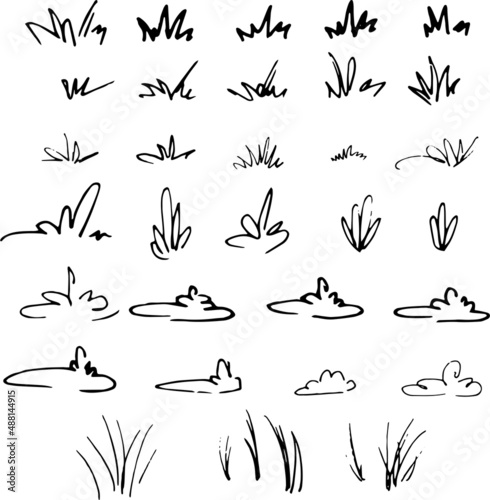 Doodle hand drawing grass