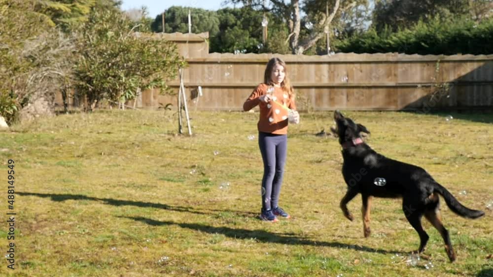 fun video of a pretty little girl playing making soap bubbles for her friend to catch them (slow motion) fun video of a pretty little girl playing making soap bubbles for her friend to catch them (slow motion)