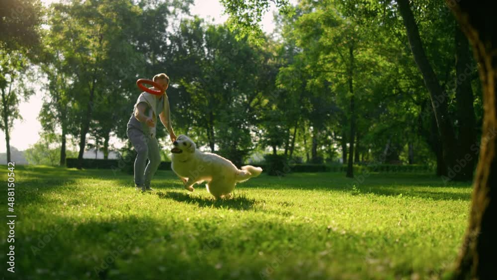 Attractive man throwing puller toy in park. Energetic dog run catching ring.