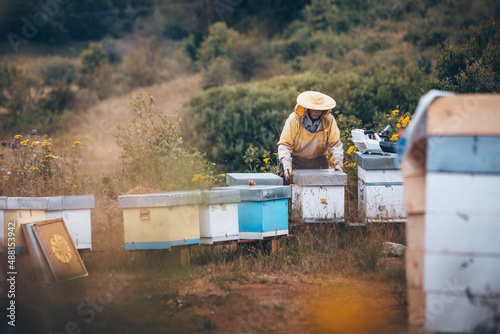 Beekeeper in protective wear working in his apiary. Beekeeping concept