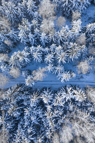 Transportation in winter. Road in snowy forest.