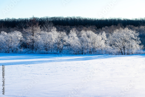 北海道冬の風景 更別村の樹氷