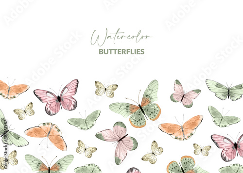 Photography Bordure with watercolor illustrated butterflies