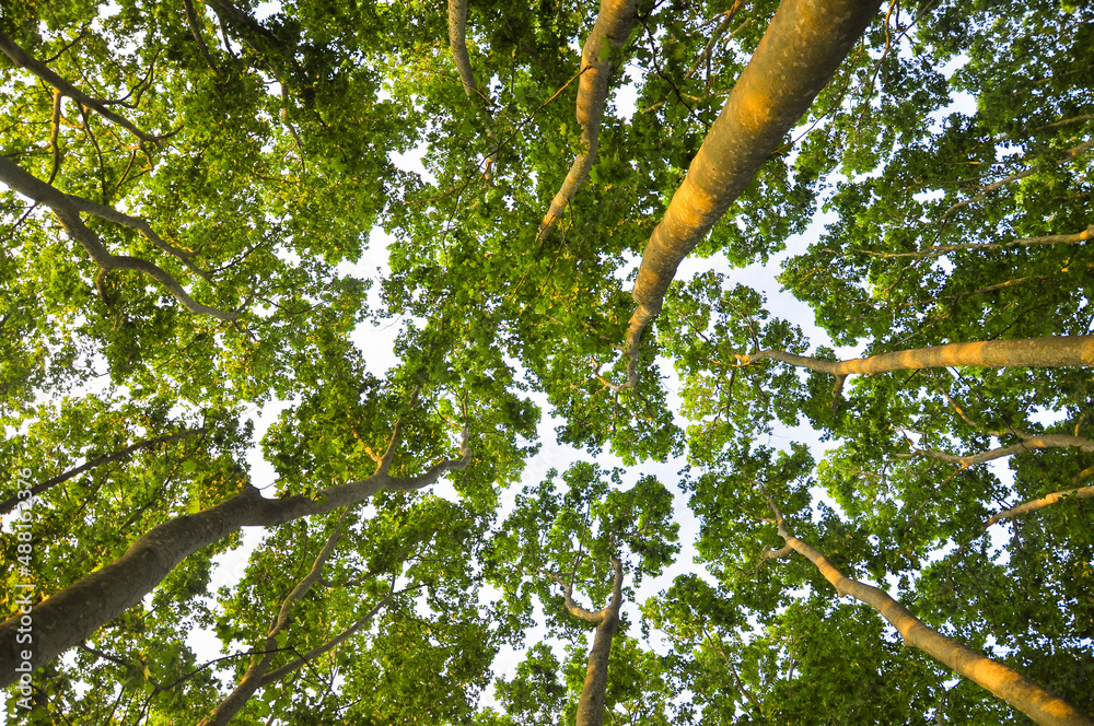 Fototapeta premium Keep calm and breathe.