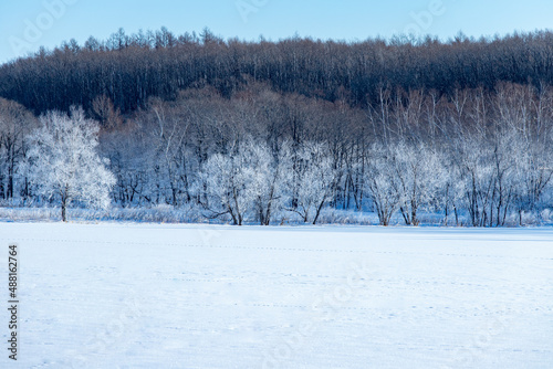 北海道冬の風景 更別村の樹氷
